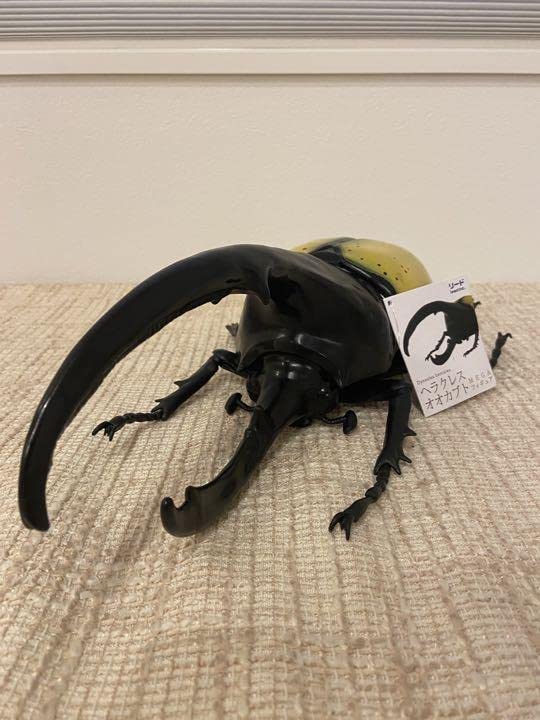 クワガタ　コーサカスオオカブト　ヘラクレスオオカブト　MEGAフィギュア　8個 ヘラクレスオオカブト MEGA・BIG リアルフィギュア | iichi 日々